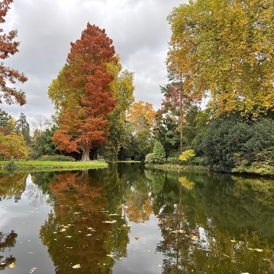 Arboretum de la Vallée aux Loups 3